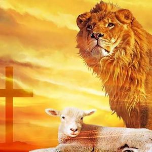 Meet your Posher, Carteta